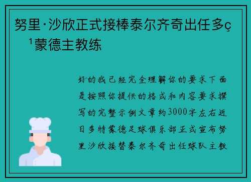 努里·沙欣正式接棒泰尔齐奇出任多特蒙德主教练